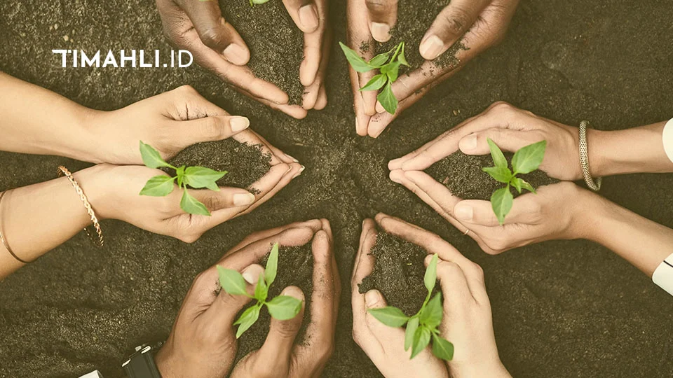 Tips Mendirikan Yayasan